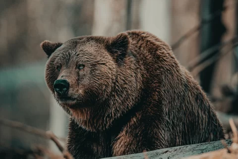 新的恶意软件erbium以游戏破解为骗局的方式传播