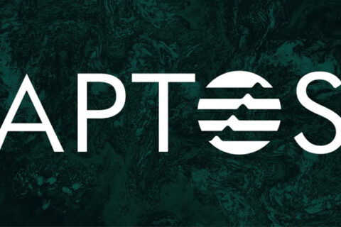 移动虚拟机为Aptos区块链网络供电时报告的关键缺陷￼